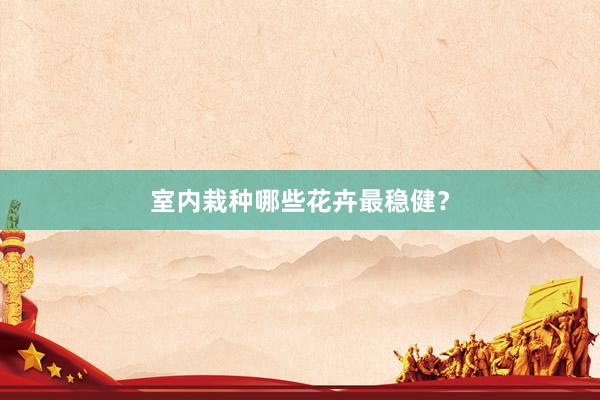 室内栽种哪些花卉最稳健？