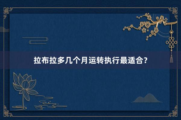 拉布拉多几个月运转执行最适合？